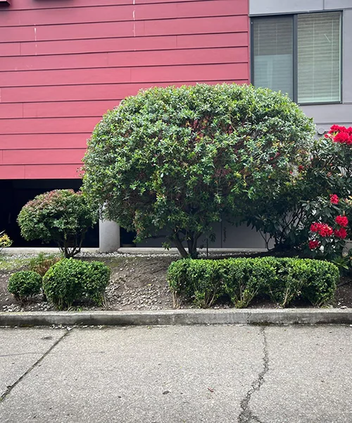 Landscape Maintenance in Kent 